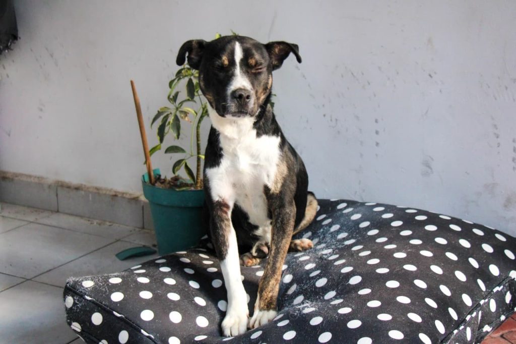 WhatsApp Image 2026 04 02 at 8.45.04 AM 2