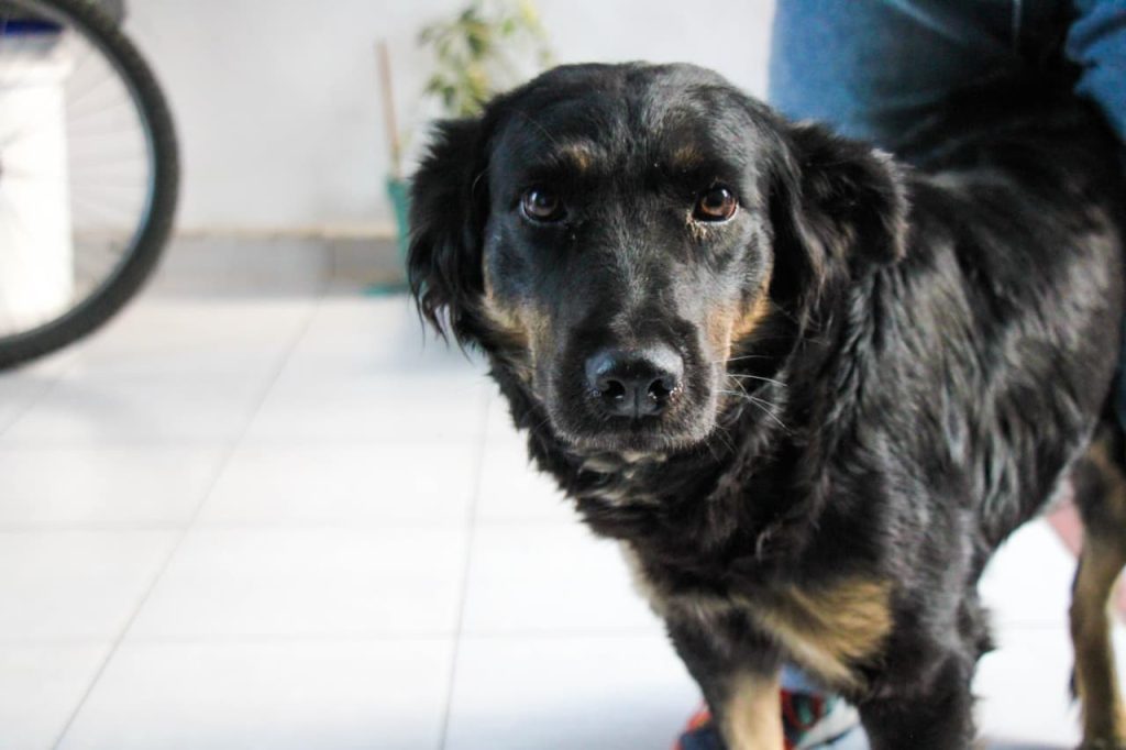 WhatsApp Image 2026 04 02 at 8.45.04 AM 3