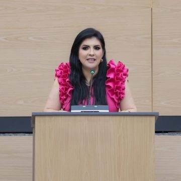 Diputada Delfina Pozos propone Sistema Regional de Emergencias