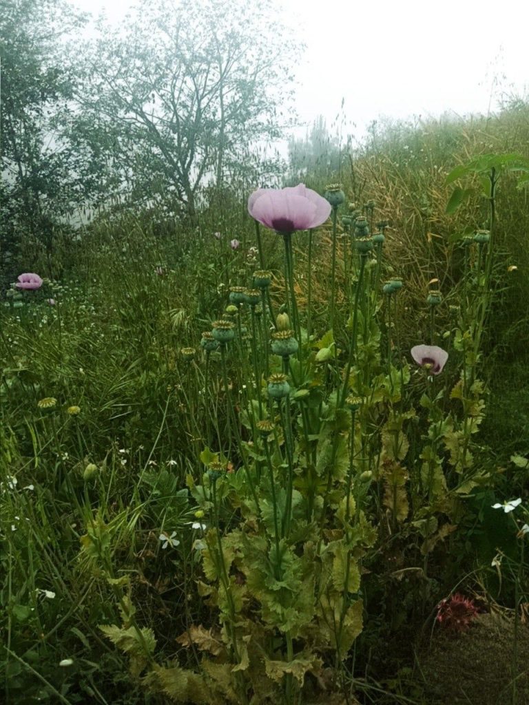 WhatsApp Image 2026 04 16 at 12.20.09 PM