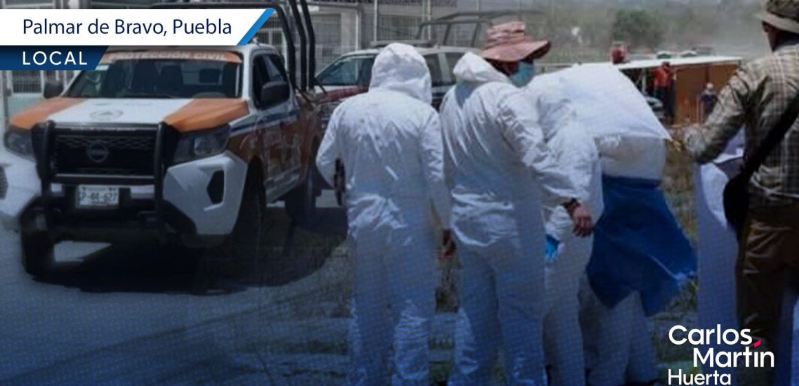 Pelea campal de 70 personas deja un muerto en Palmar de Bravo