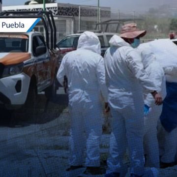 Pelea campal de 70 personas deja un muerto en Palmar de Bravo