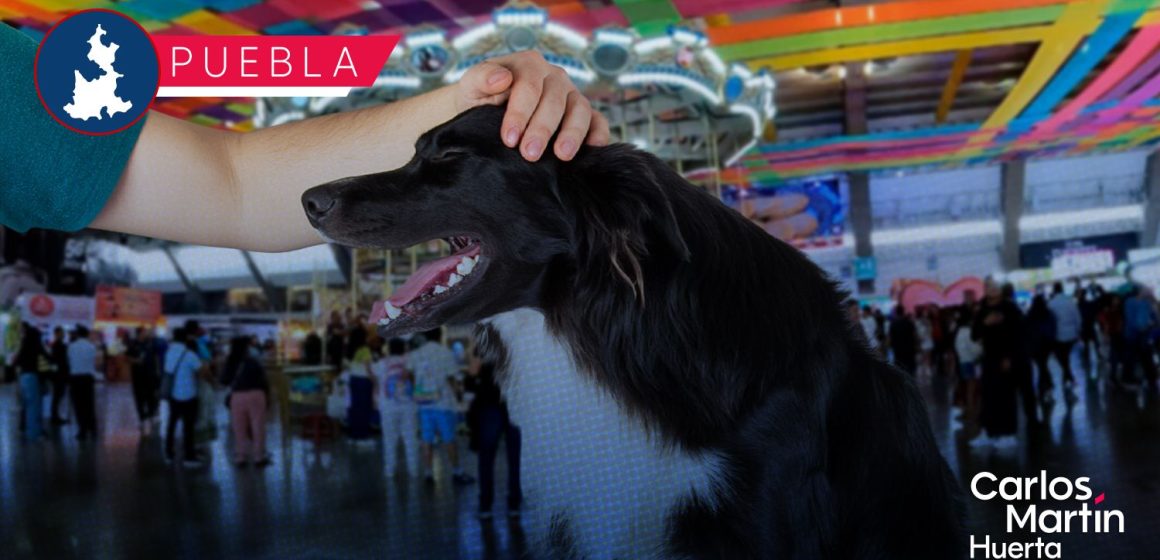 DIF Estatal impulsa la adopción de mascotas en la Feria de Puebla 2026