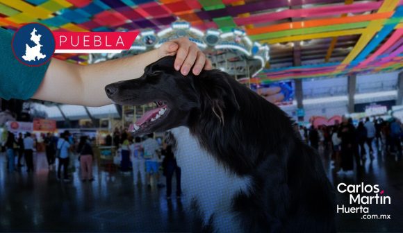 DIF Estatal impulsa la adopción de mascotas en la Feria de Puebla 2026