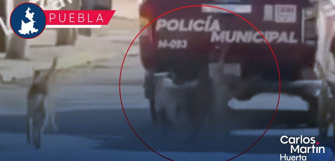 ¡JUSTICIA! Patrulla municipal arrastra a perro en las calles de San Felipe Xochiltepec