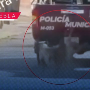 ¡JUSTICIA! Patrulla municipal arrastra a perro en las calles de San Felipe Xochiltepec