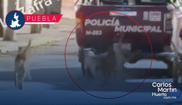 ¡JUSTICIA! Patrulla municipal arrastra a perro en las calles de San Felipe Xochiltepec