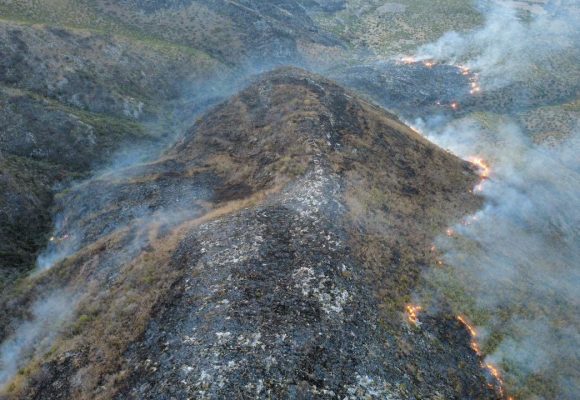 Incendio forestal en Tulcingo de Valle queda totalmente controlado tras afectar 70 hectáreas