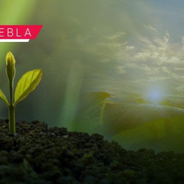 "Mujer Rural Emprendedora": Abren registro para entrega de equipamiento en Puebla