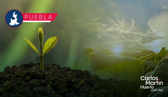 "Mujer Rural Emprendedora": Abren registro para entrega de equipamiento en Puebla