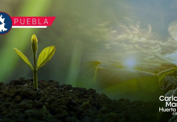 "Mujer Rural Emprendedora": Abren registro para entrega de equipamiento en Puebla