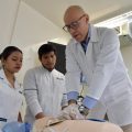 Facultad de Enfermería obtiene certificación internacional en RCP y atención cardiovascular avanzada