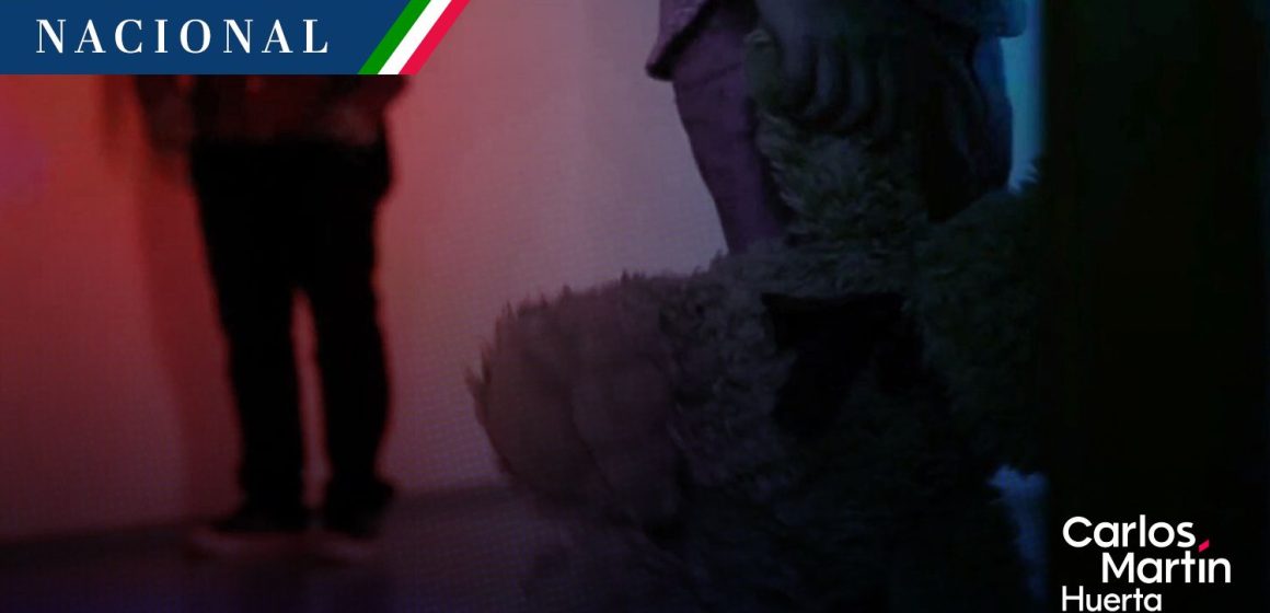 Rescatan a menores y detienen a dos hombres por abuso infantil en México