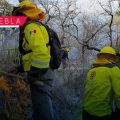 Coordinación Interinstitucional logra sofocar incendio forestal sin daños a población en Cohetzala