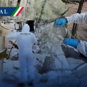 Desmantelan laboratorios Sinaloa Desmantelan tres laboratorios en Sinaloa; aseguran toneladas de metanfetamina