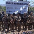 Detienen a 13 presuntos integrantes de Los Chapitos en Sinaloa