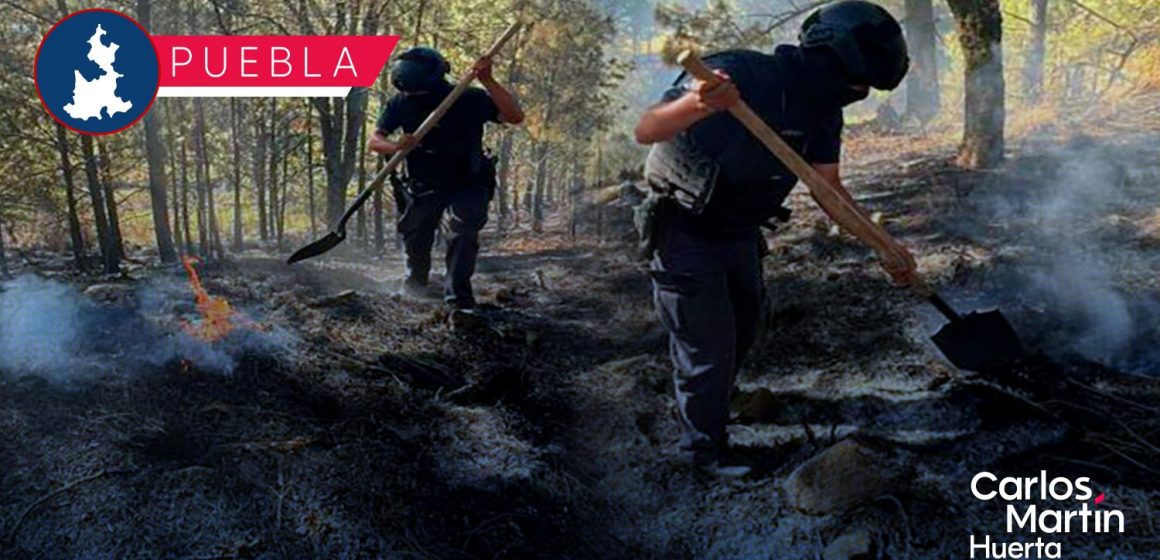 Fortalece Seguridad Pública protección y combate a delitos ambientales