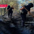 Fortalece Seguridad Pública protección y combate a delitos ambientales