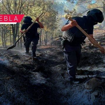 Fortalece Seguridad Pública protección y combate a delitos ambientales