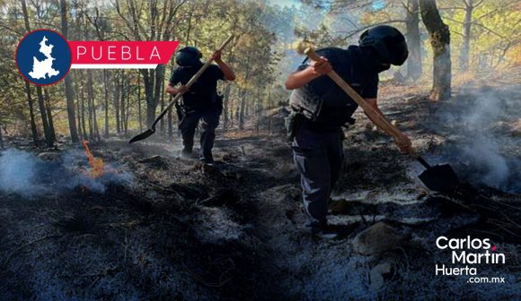 Fortalece Seguridad Pública protección y combate a delitos ambientales