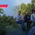 Gobierno del Estado fortalece la producción de aguacate poblano