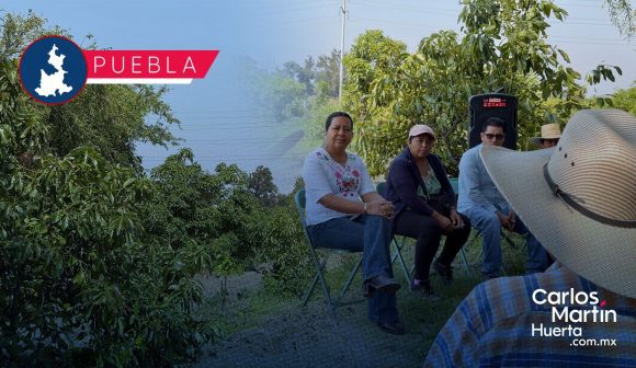 Gobierno del Estado fortalece la producción de aguacate poblano