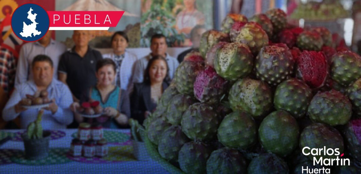 Huitziltepec anuncia la Feria de la Pitaya y Pitahaya 2026