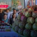 Huitziltepec anuncia la Feria de la Pitaya y Pitahaya 2026