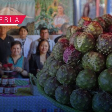 Huitziltepec anuncia la Feria de la Pitaya y Pitahaya 2026