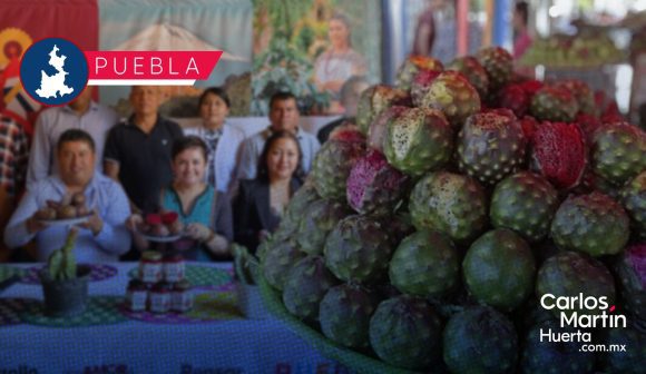 Huitziltepec anuncia la Feria de la Pitaya y Pitahaya 2026