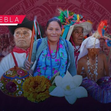 IPPI lanza convocatoria Mecanismos de Gobernanza Indígena 2026