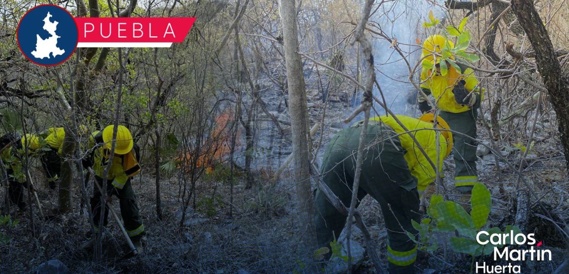 Incendio forestal Cohetzala Reportan 85% de control en incendio forestal de Cohetzala tras 5 días de combate