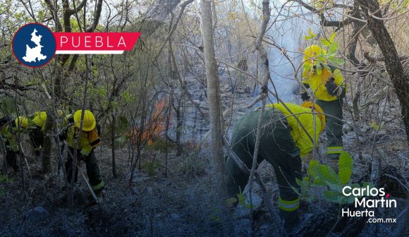 Reportan 85% de control en incendio forestal de Cohetzala tras 5 días de combate