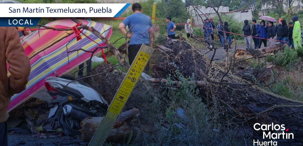 Cae árbol por fuertes lluvias y mata a menor de edad en Texmelucan