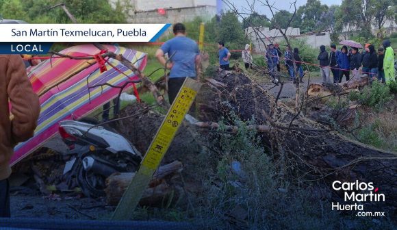 Cae árbol por fuertes lluvias y mata a menor de edad en Texmelucan