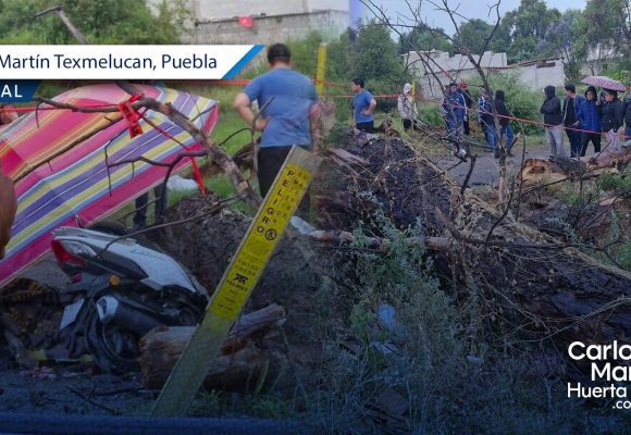 Cae árbol por fuertes lluvias y mata a menor de edad en Texmelucan