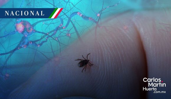 México registra 139 casos de enfermedades transmitidas por garrapatas en 2026