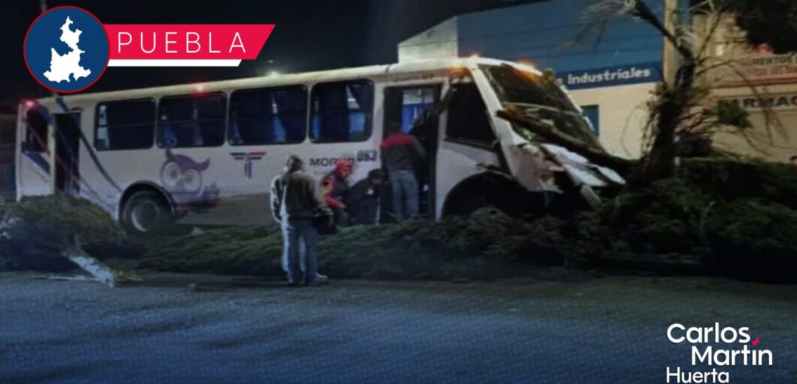 Pavimento mojado provoca que transporte de personal derribe árboles en Bulevar Xonacatepec.