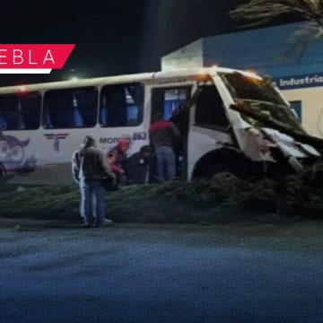 Pavimento mojado provoca que transporte de personal derribe árboles en Bulevar Xonacatepec.