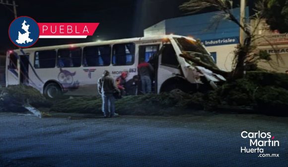 Pavimento mojado provoca que transporte de personal derribe árboles en Bulevar Xonacatepec.