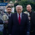 Construyen estadio en la Casa Blanca para celebrar los 80 años de Trump con una función de la UFC