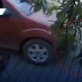 Acusan a policía municipal de atropellar y matar a la perrita “Goma”en Zacatlán