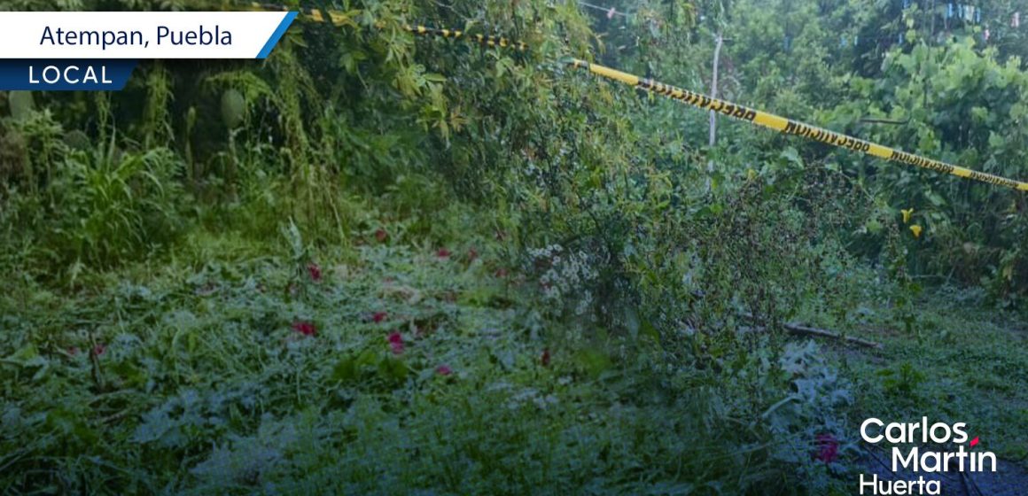 Policía Estatal localiza plantío de amapola y marihuana en Atempan