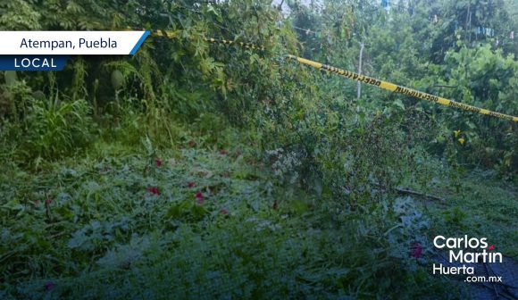Policía Estatal localiza plantío de amapola y marihuana en Atempan