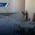 Captan una rata en hospital del IMSS de Ciudad Obregón