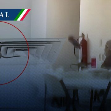 Captan una rata en hospital del IMSS de Ciudad Obregón