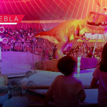 SEDIF promueve valores y unión familiar a través de la magia del circo