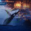 WhaleSpotter: San Francisco implementa IA para proteger a las ballenas de los barcos