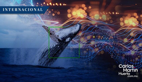 WhaleSpotter: San Francisco implementa IA para proteger a las ballenas de los barcos