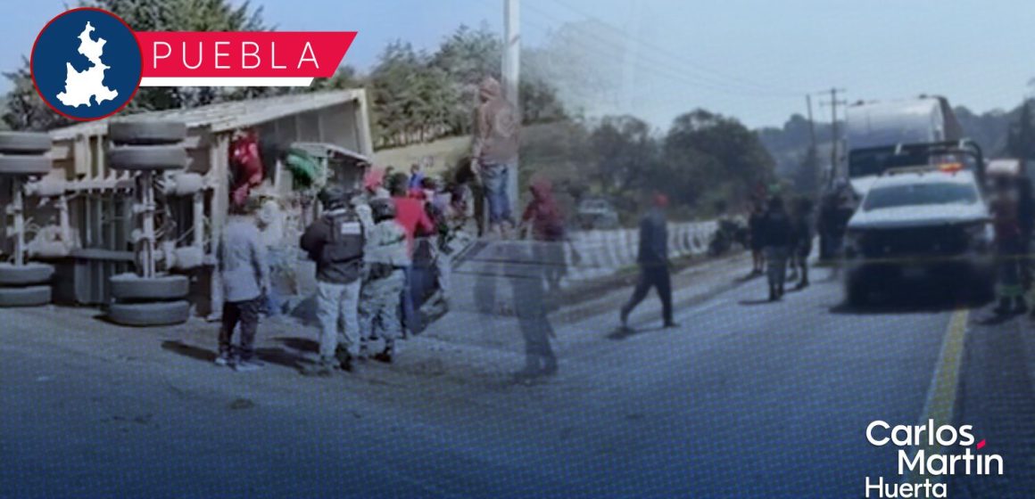 Vuelca tráiler con ganado y se desata la rapiña en la autopista Puebla-Córdoba